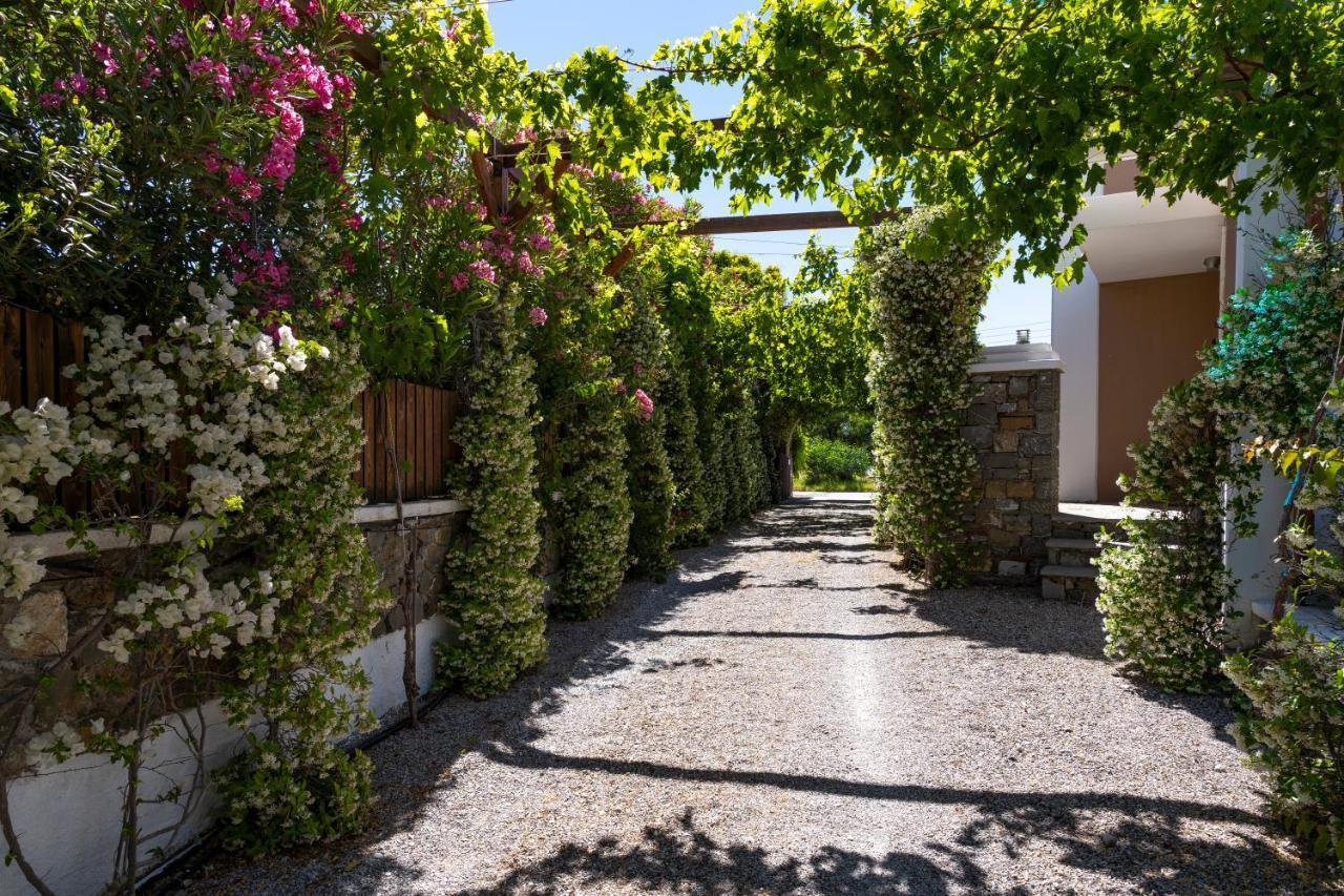 Horizon Line Villas Kiotari Eksteriør bilde